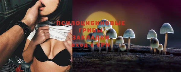 Альфа ПВП Карпинск