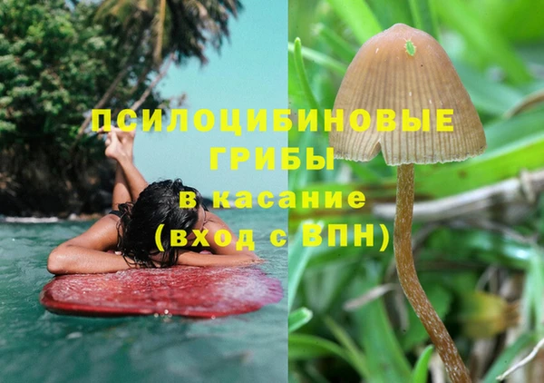 Альфа ПВП Карпинск
