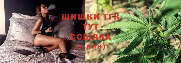 Альфа ПВП Карпинск
