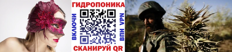 Шишки марихуана AK-47  Купить закладки  Велиж 